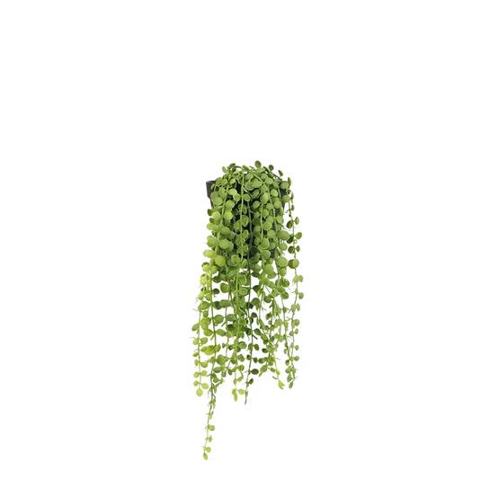 Ligne Deco - Plante succulente retombante artificielle 40cm - Image 1