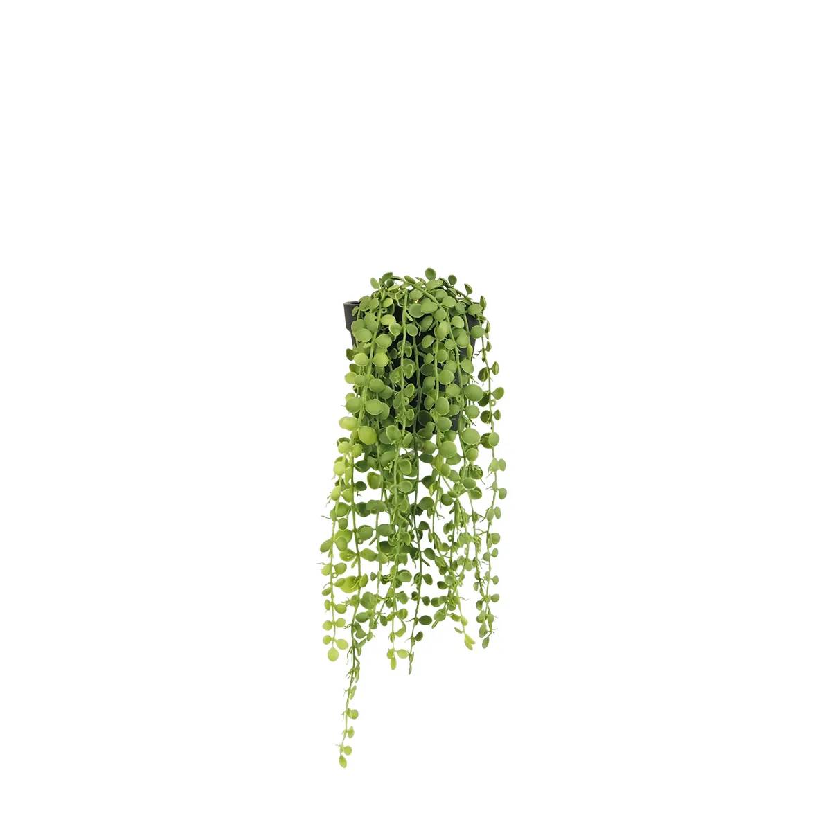 Ligne Deco - Plante succulente retombante artificielle 40cm - Image 1