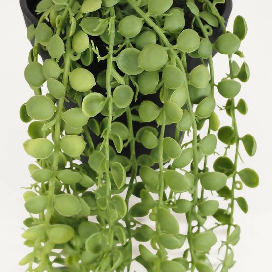 Ligne Deco - Plante succulente retombante artificielle 40cm - Image 5
