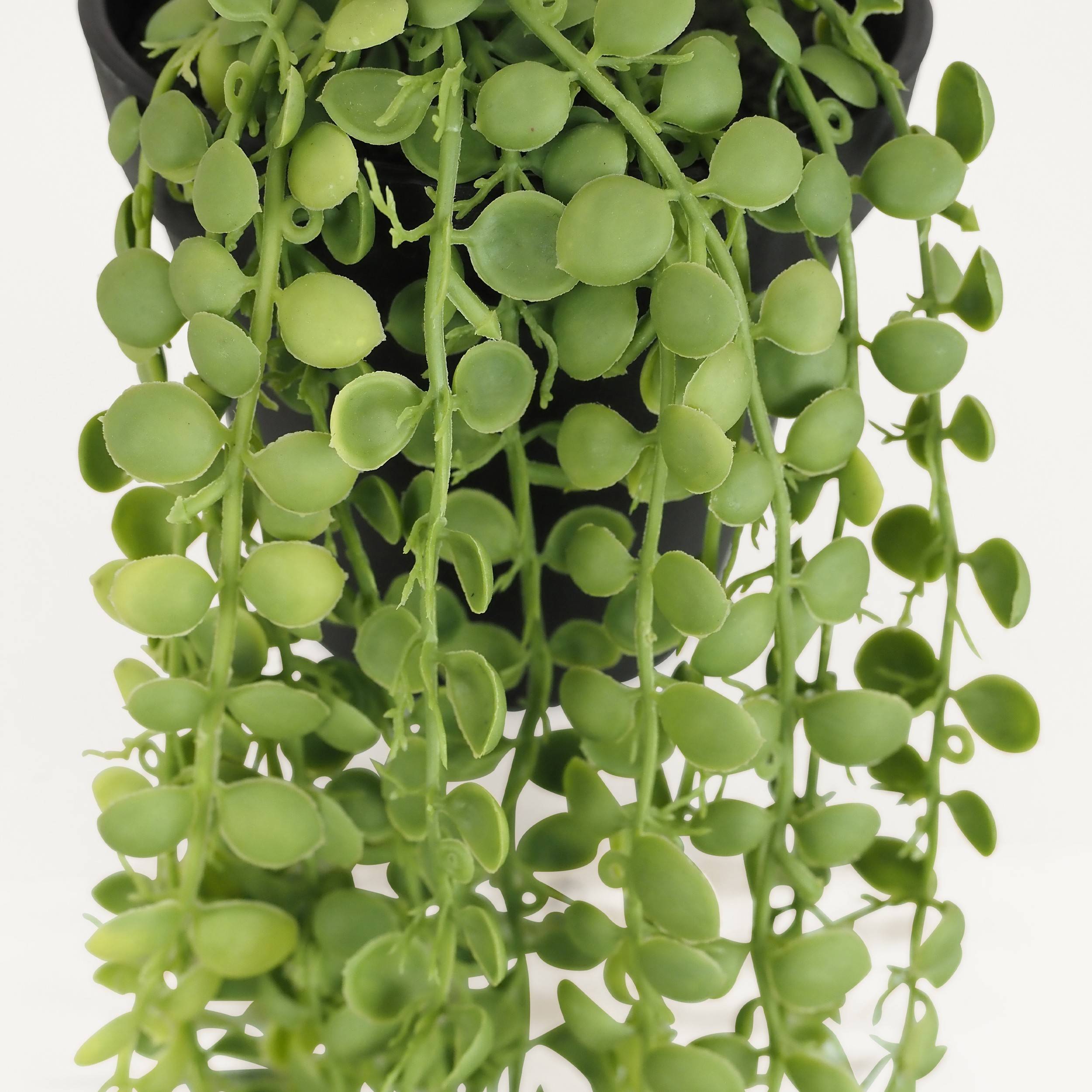Ligne Deco - Plante succulente retombante artificielle 40cm - Image 5