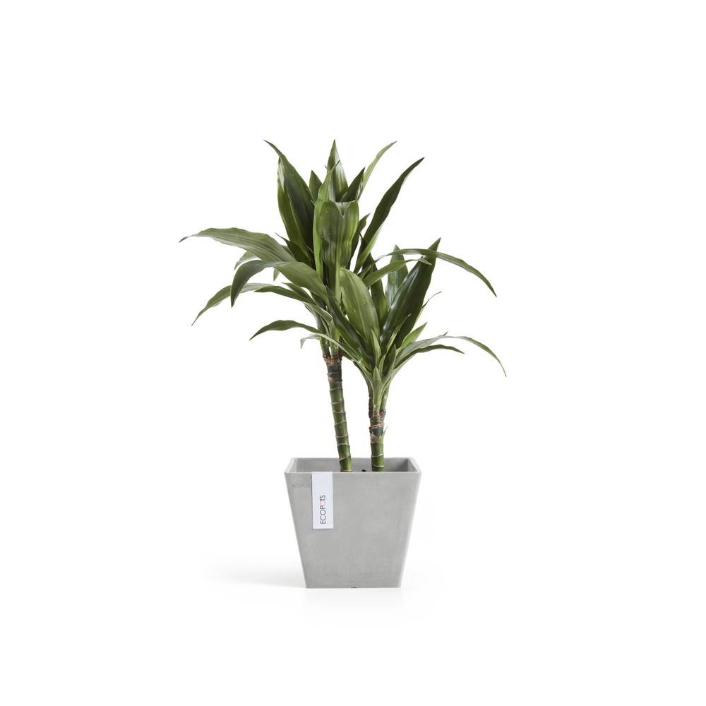 Ecopots - Pot Carré Rotterdam 20 Blanc Gris - 20 x 20 x H. 17,5 cm - 5,2 L ECOPOTS - Image 3