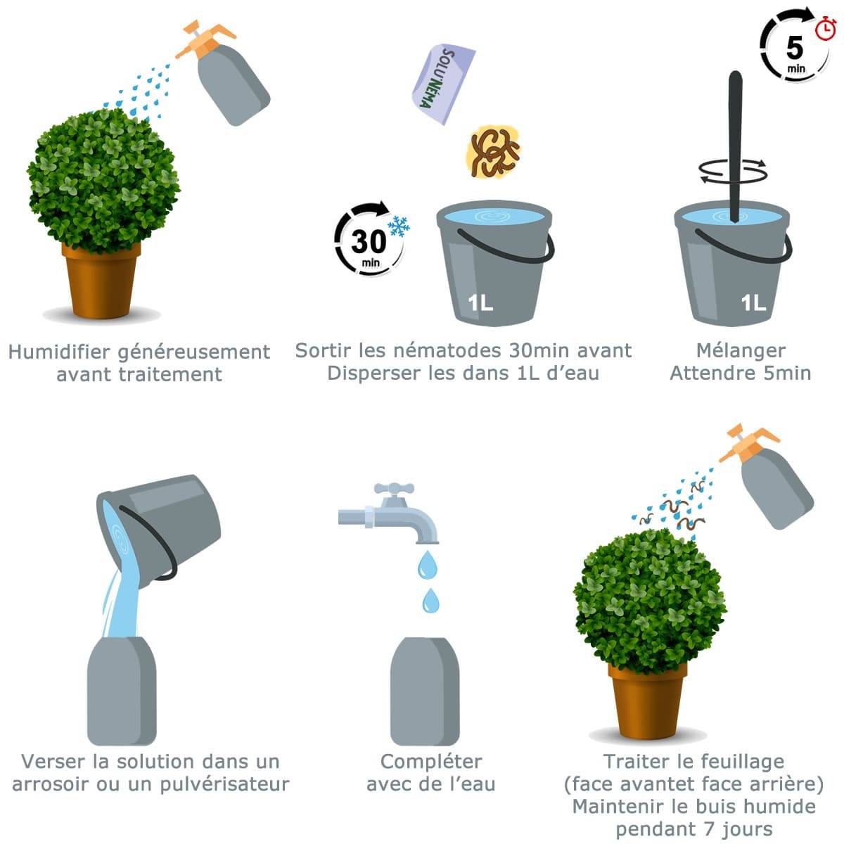 Solunéma - Pyrale du Buis - Traitement à base de nématodes Steinernema Carpocapsae (SC) - 25 millions - pour environ 25 mètres linéaires - Image 2
