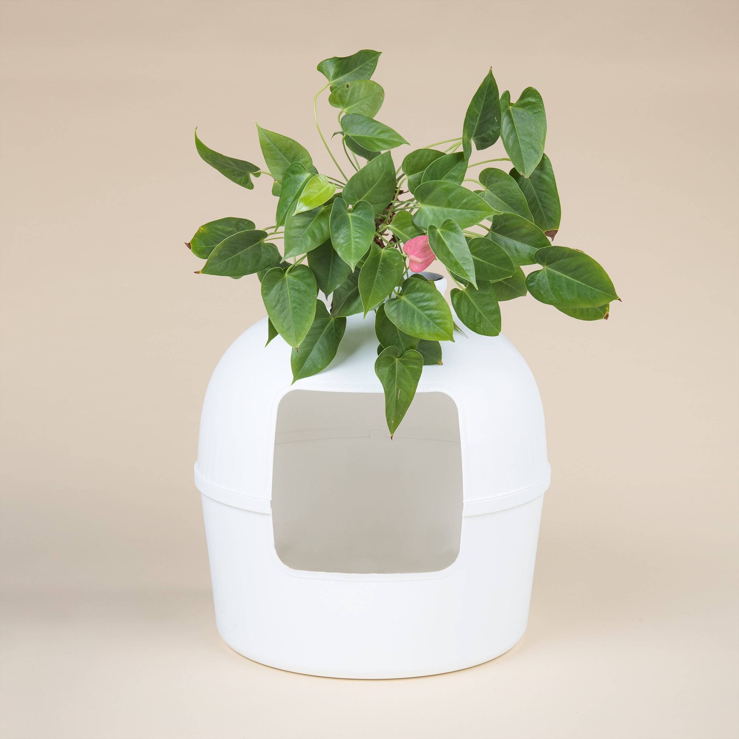 Rhr Concepts Bv - Bac à litière Flower XXL, Toilette cachée pour chat (Blanc) - RHR Concepts BV - Image 2