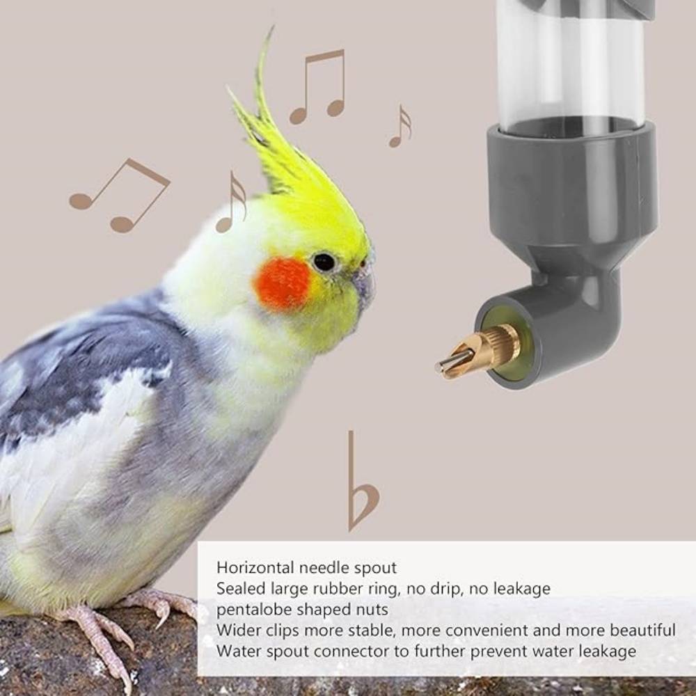 DtopbuyAge - Abreuvoir Automatique Pour Divers Oiseaux DtopbuyAge - Image 3