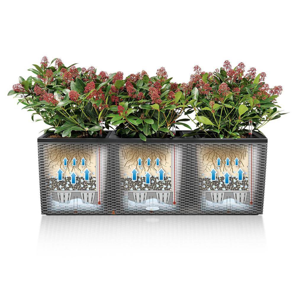 Lechuza - Pot Trio Cottage 40 - kit complet, blanc - 130 cm Lechuza - Image 6