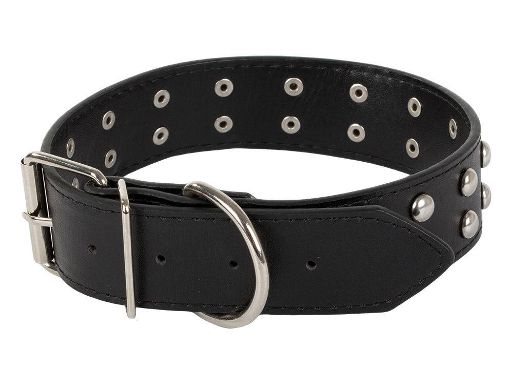 Collier chien clouté cuir eco réglable L - Image 7