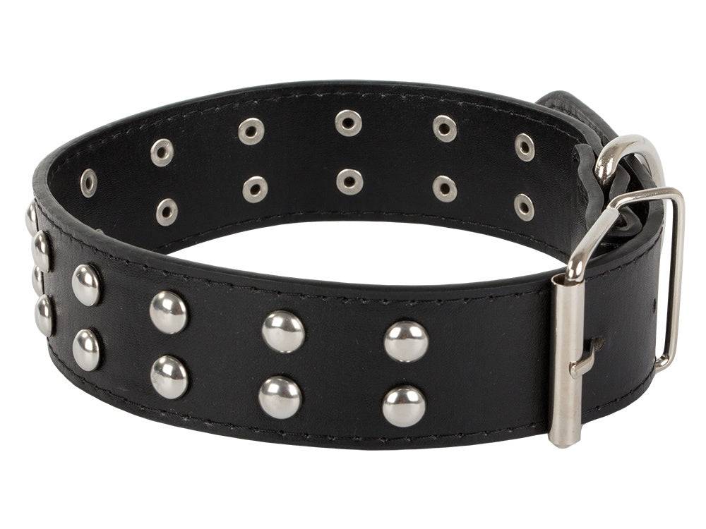 Collier chien clouté cuir eco réglable L - Image 6