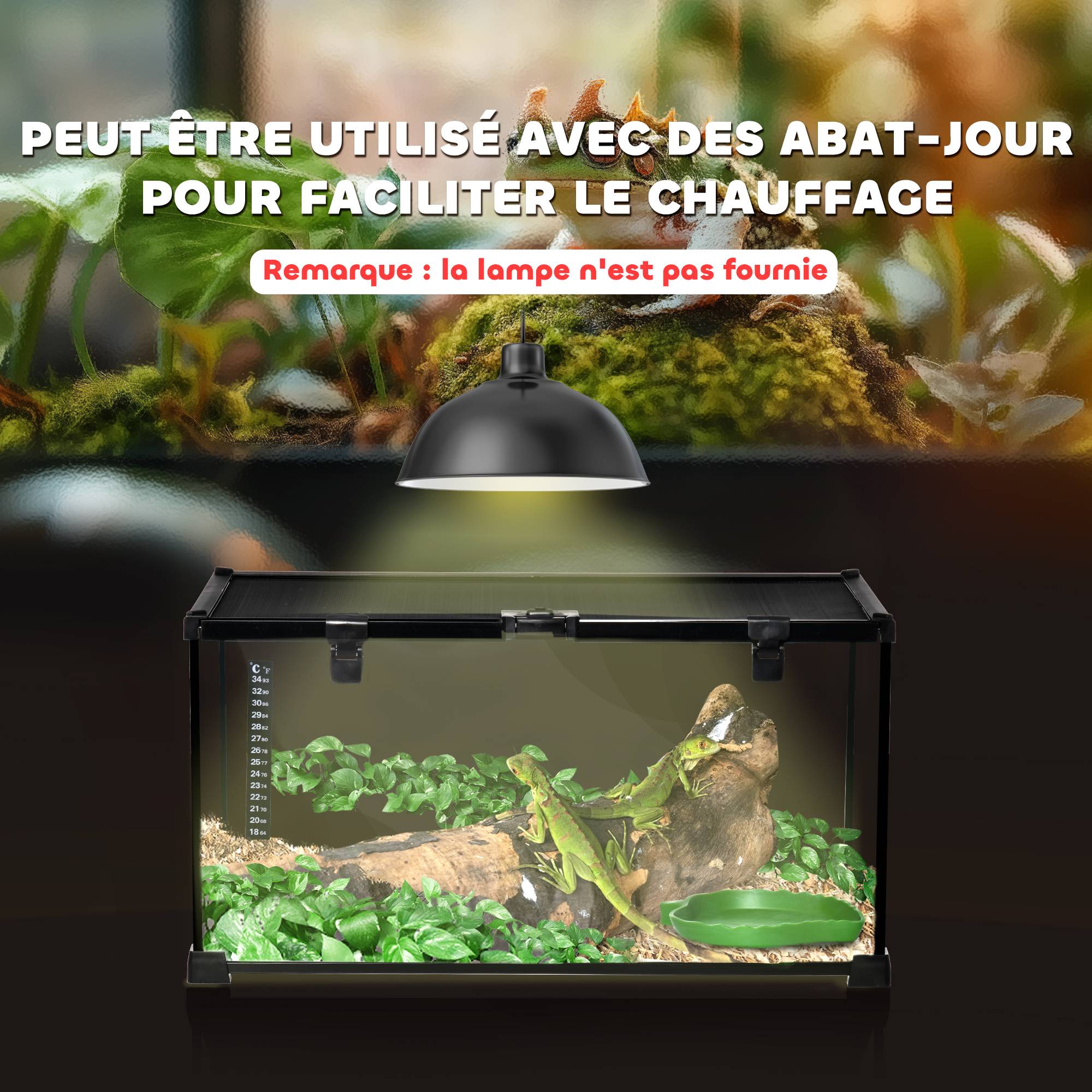 Terrarium Reptiles Verre Habitat Insectes Lézards Bonne Ventilation 50x25cm Noir - ComfortXL Outdoor Living - Image 10