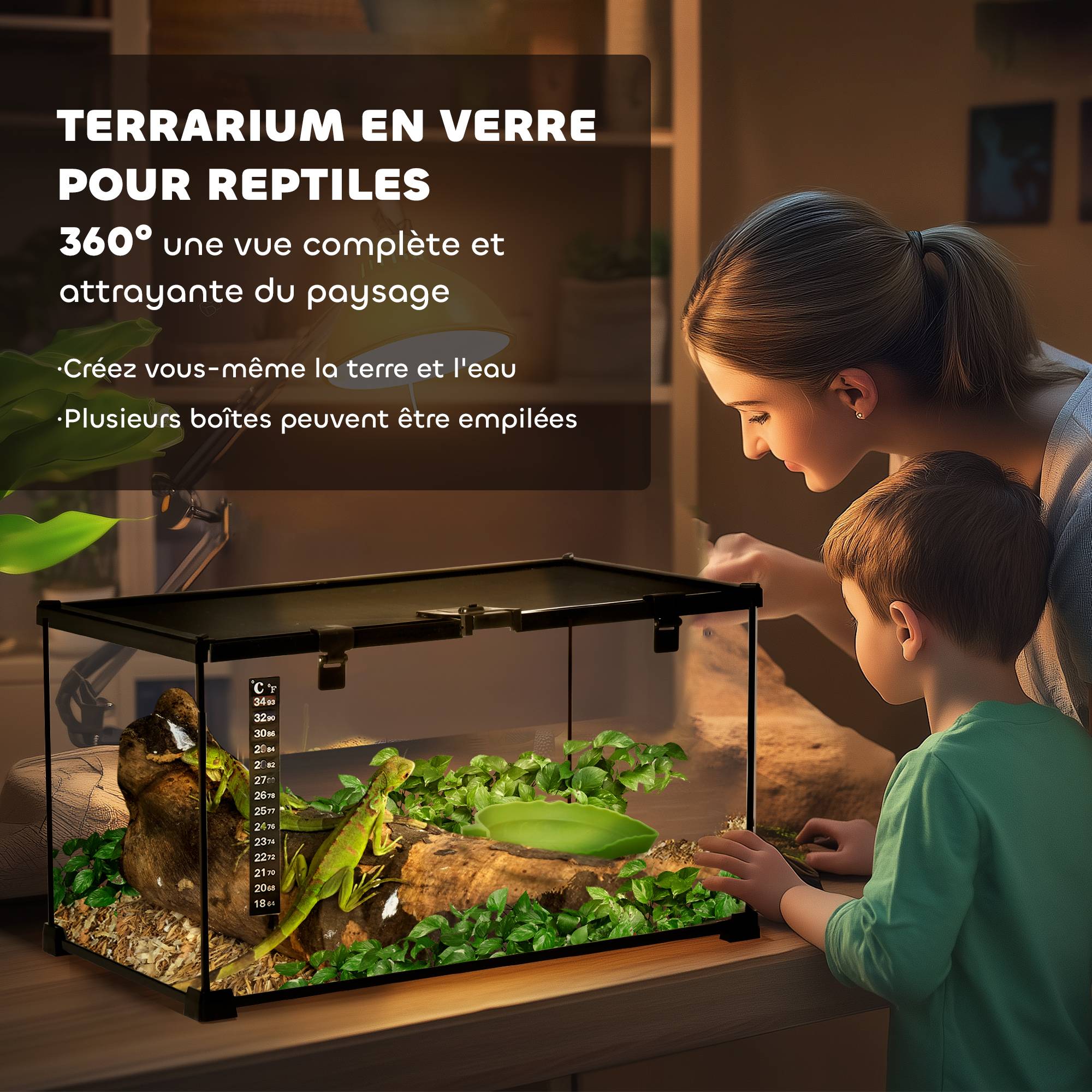 Terrarium Reptiles Verre Habitat Insectes Lézards Bonne Ventilation 50x25cm Noir - ComfortXL Outdoor Living - Image 6