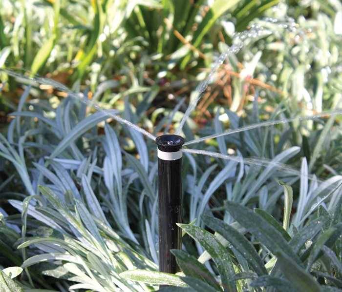 Toro - Buse MPR+ FB-50 - Bubbler Détrempeur avec filtre - Débit préréglé 98 l/h TORO - Image 2
