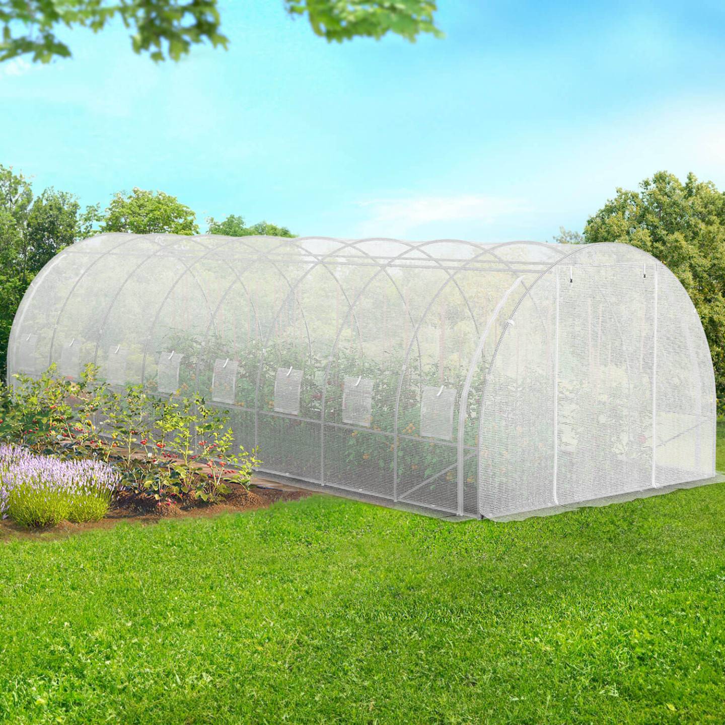 Serre de jardin tunnel 24m² 8 x 3 x 2 m acier galvanisé + bâche anti-UV avec porte et fenêtres DES ANDES blanche toutes saisons - Image 3
