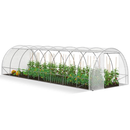 Serre de jardin tunnel 24m² 8 x 3 x 2 m acier galvanisé + bâche anti-UV avec porte et fenêtres DES ANDES blanche toutes saisons - Image 2