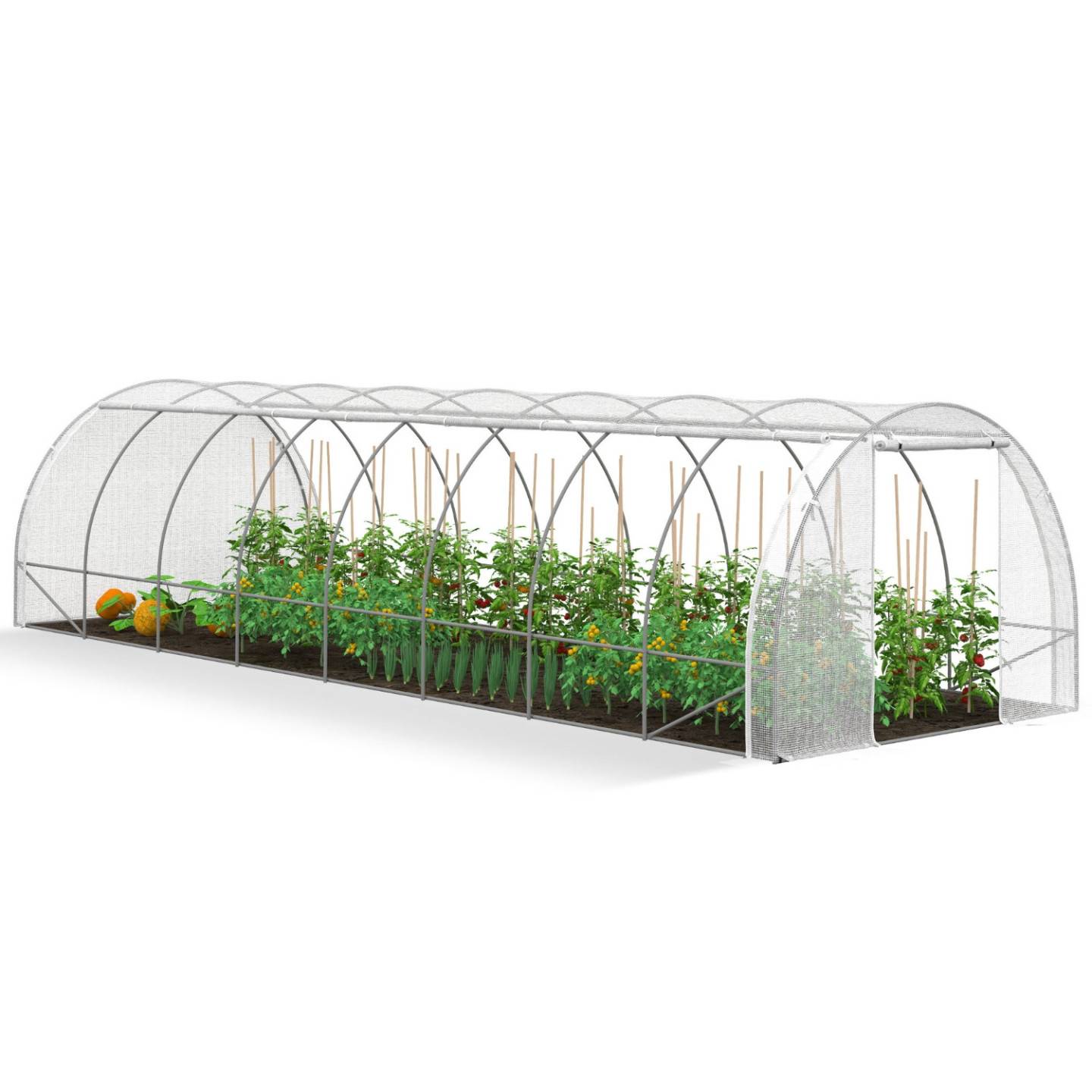 Serre de jardin tunnel 24m² 8 x 3 x 2 m acier galvanisé + bâche anti-UV avec porte et fenêtres DES ANDES blanche toutes saisons - Image 2