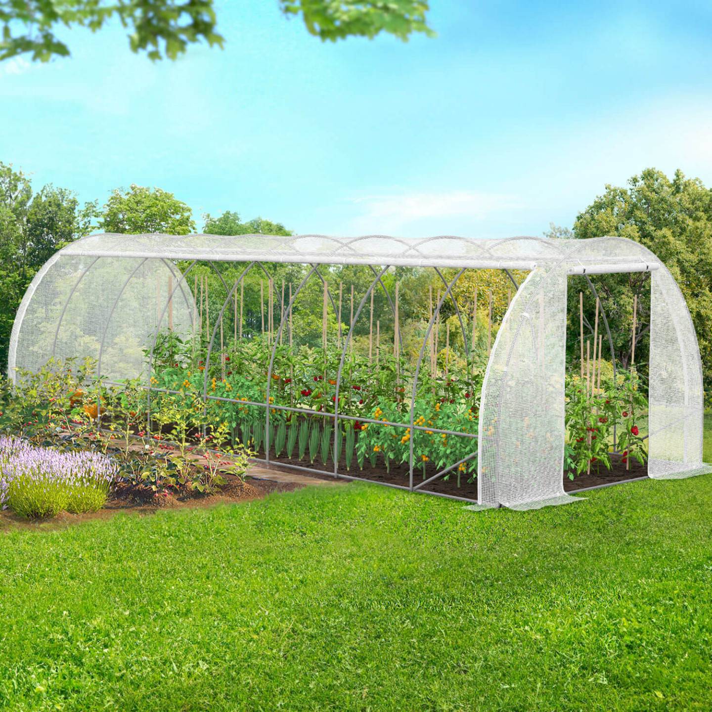 Serre de jardin tunnel 24m² 8 x 3 x 2 m acier galvanisé + bâche anti-UV avec porte et fenêtres DES ANDES blanche toutes saisons - Image 1