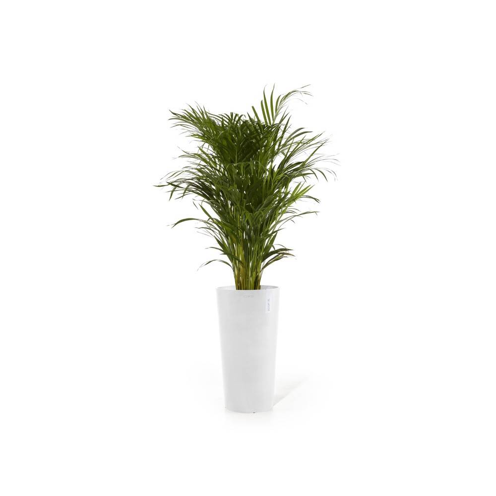 Ecopots - Pot Amsterdam Mid High 66 Pure White ECOPOTS - Image 2