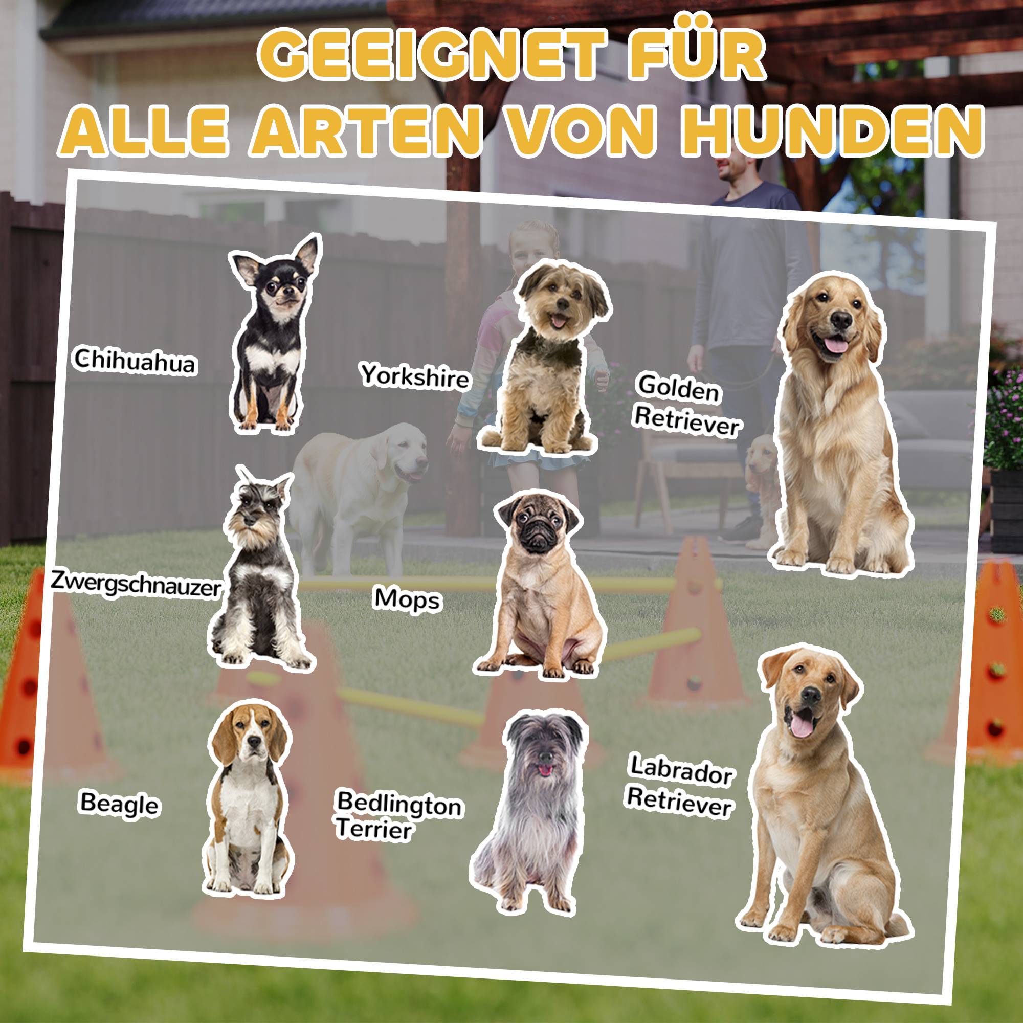 ComfortXL - Haies agilité chien ABS 3 pièces 80 x 22,5 x 30 cm hauteur réglable entraînement - ComfortXL Outdoor Living - Image 10