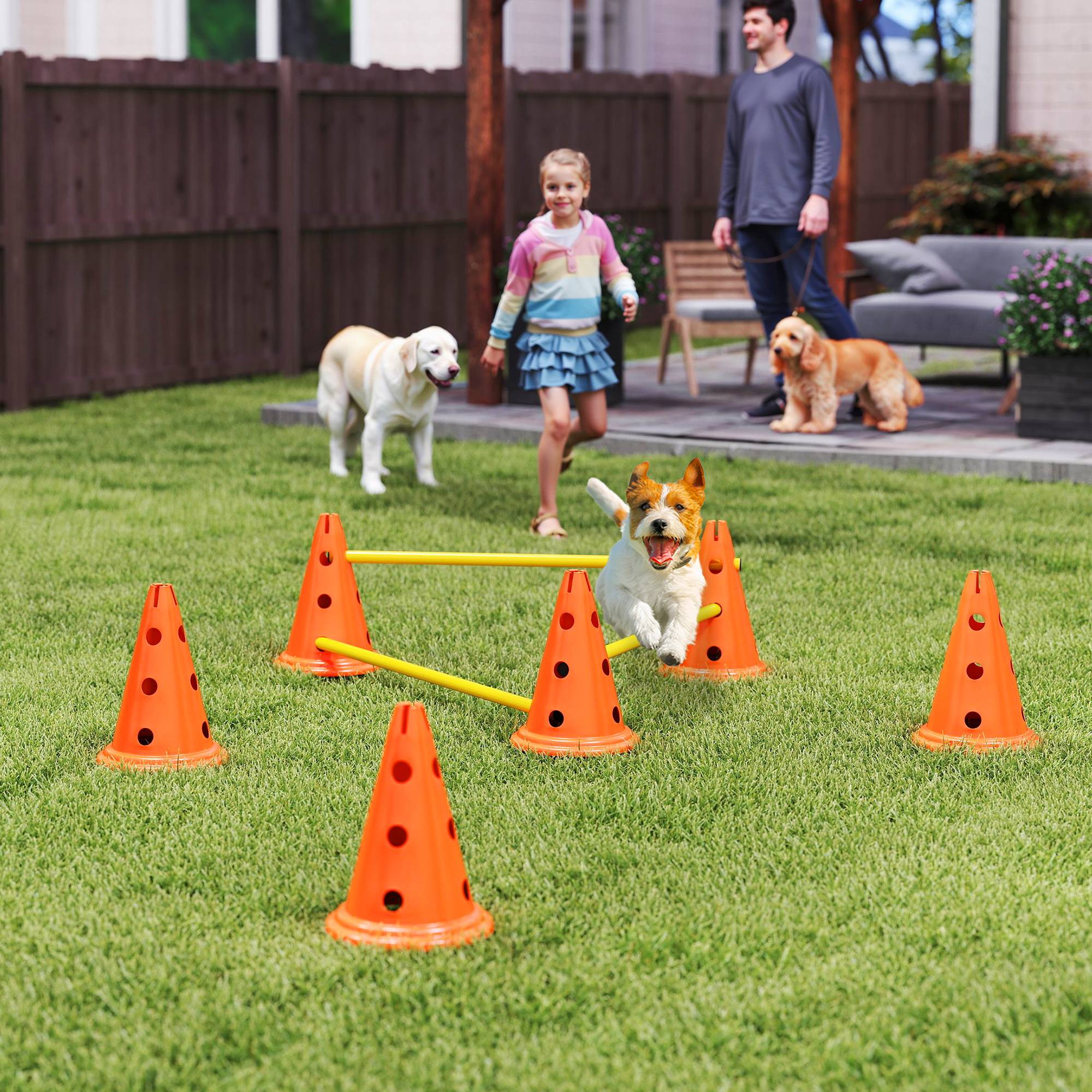 ComfortXL - Haies agilité chien ABS 3 pièces 80 x 22,5 x 30 cm hauteur réglable entraînement - ComfortXL Outdoor Living - Image 3