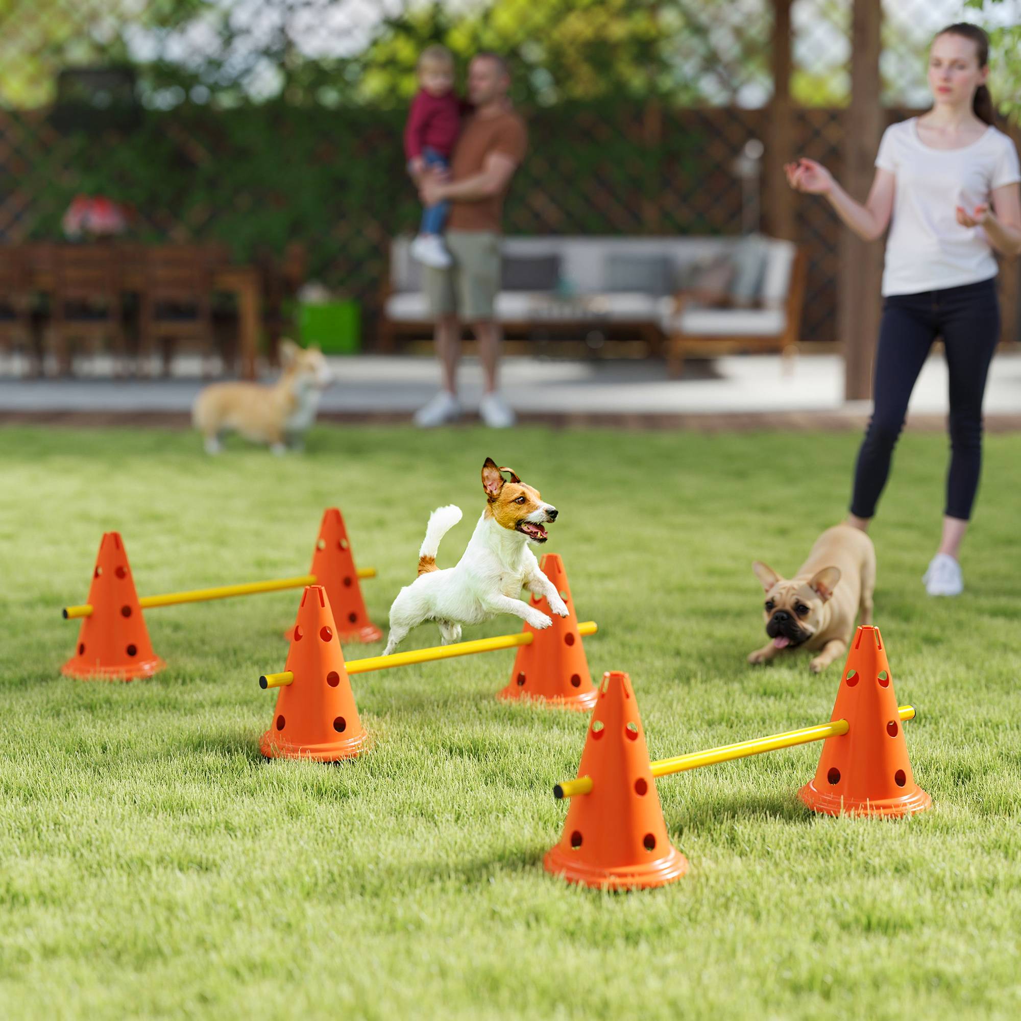ComfortXL - Haies agilité chien ABS 3 pièces 80 x 22,5 x 30 cm hauteur réglable entraînement - ComfortXL Outdoor Living - Image 4