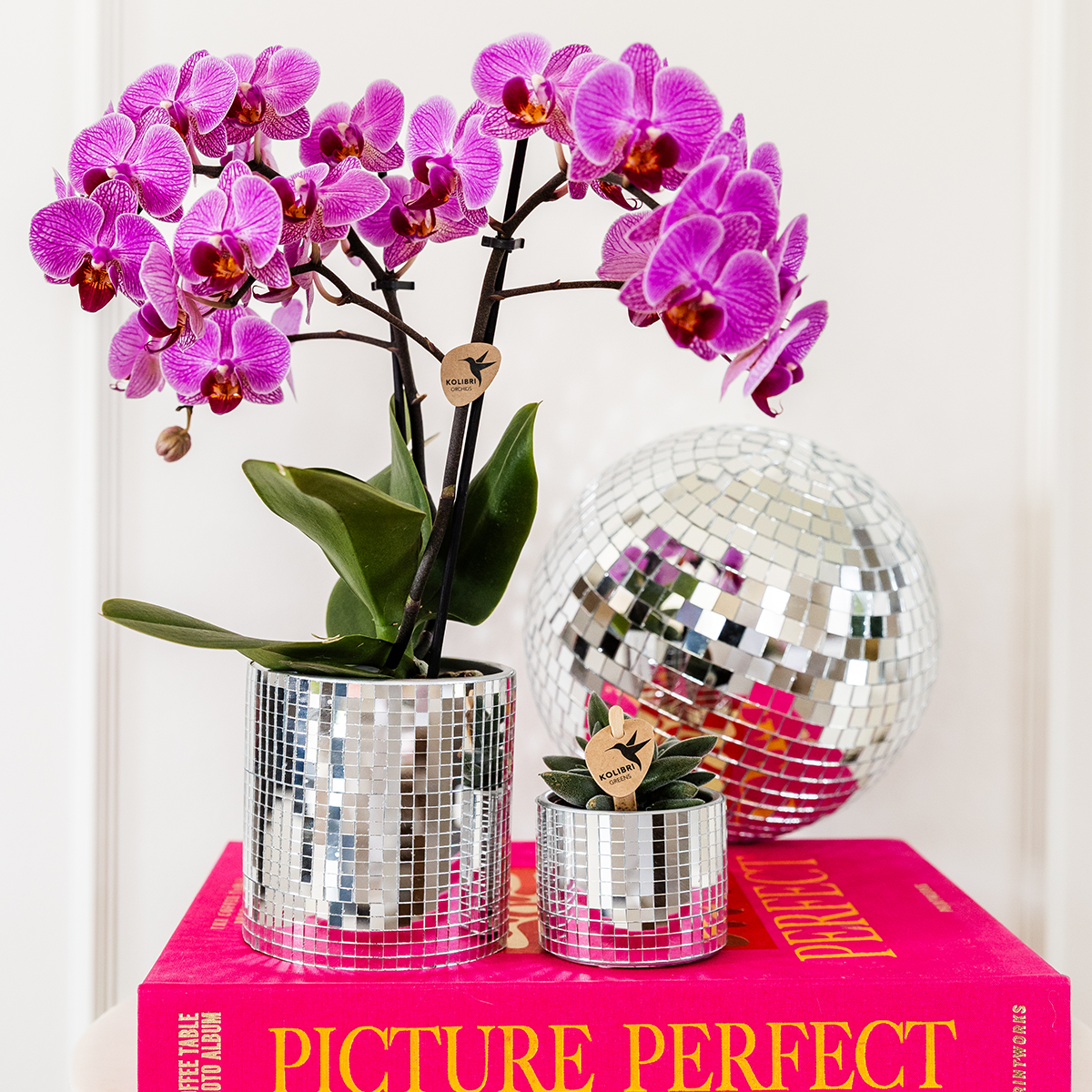 Orchidées - H35cm - Image 4