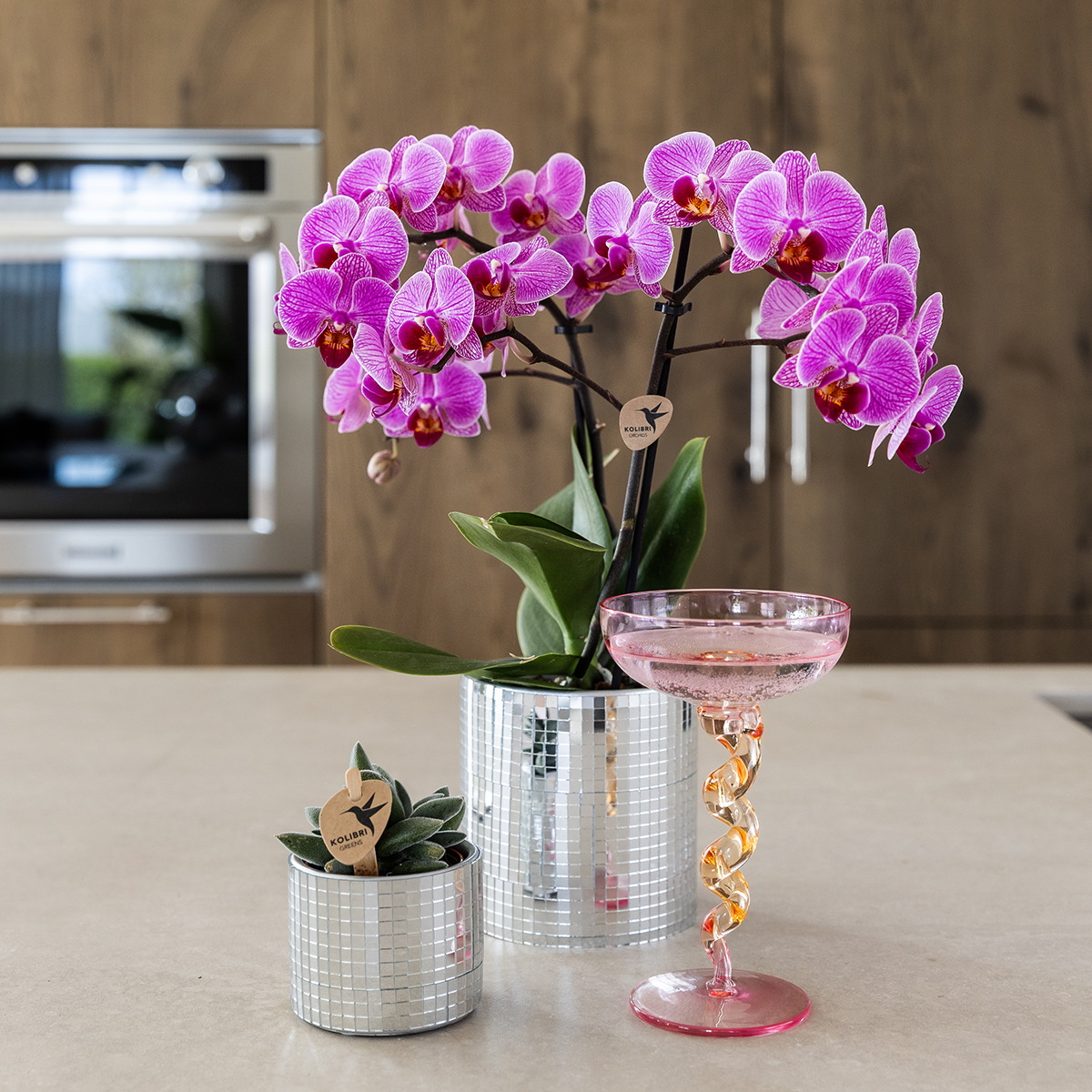 Orchidées - H35cm - Image 3
