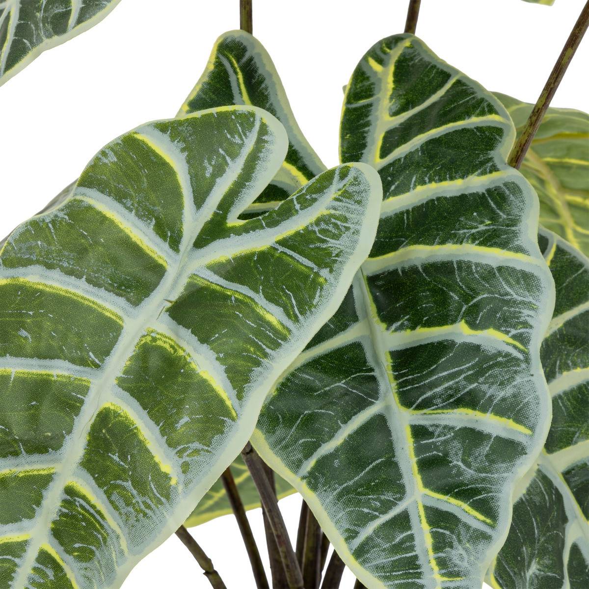 Plante artificielle Alocasia dans Pot en Terre cuite H 43 cm - Image 2