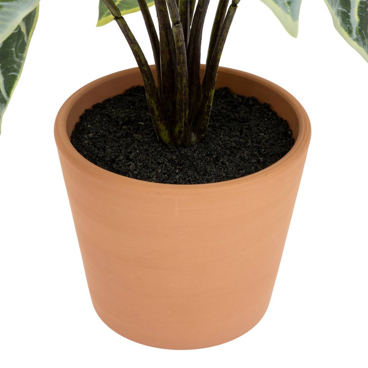 Plante artificielle Alocasia dans Pot en Terre cuite H 43 cm - Image 3
