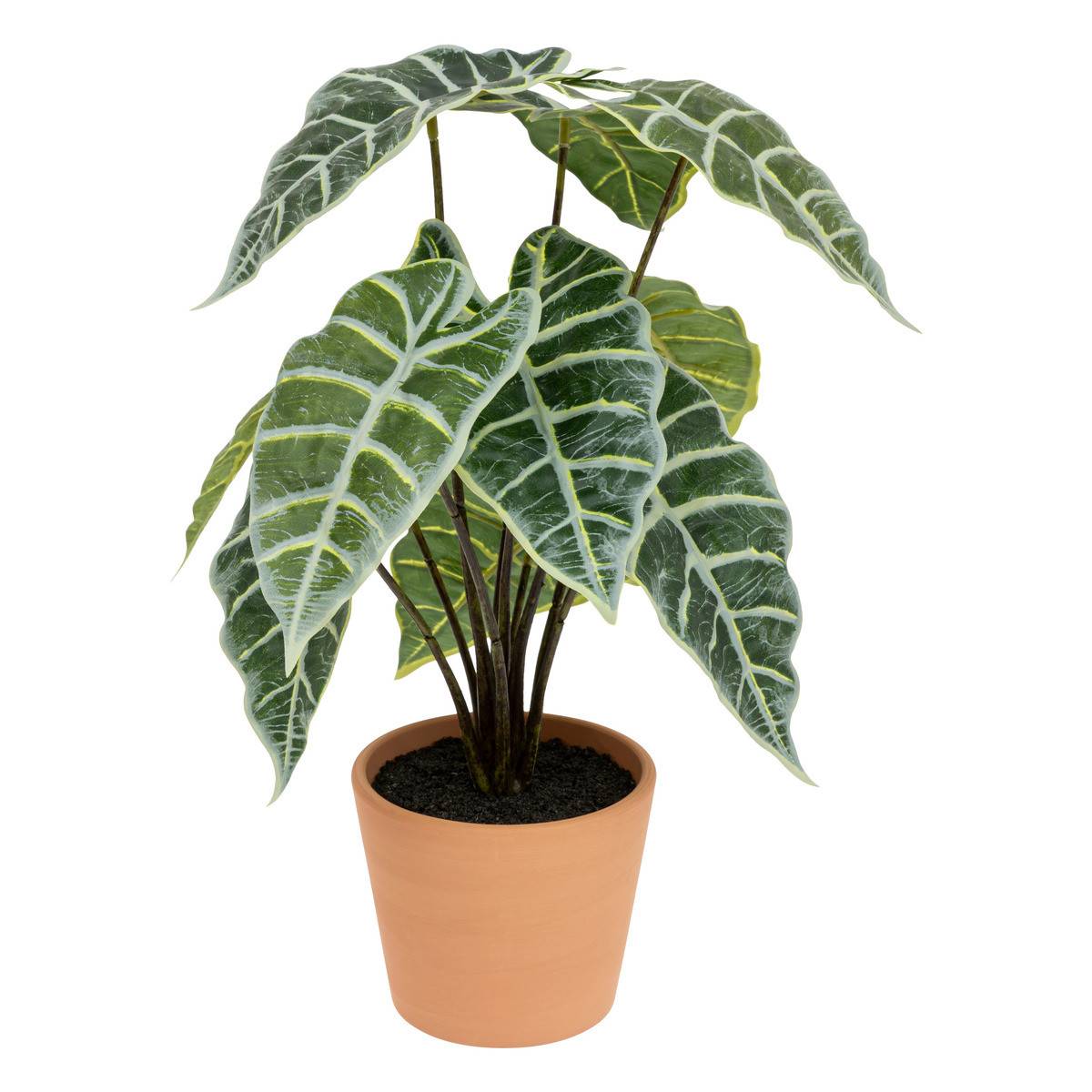 Plante artificielle Alocasia dans Pot en Terre cuite H 43 cm - Image 1