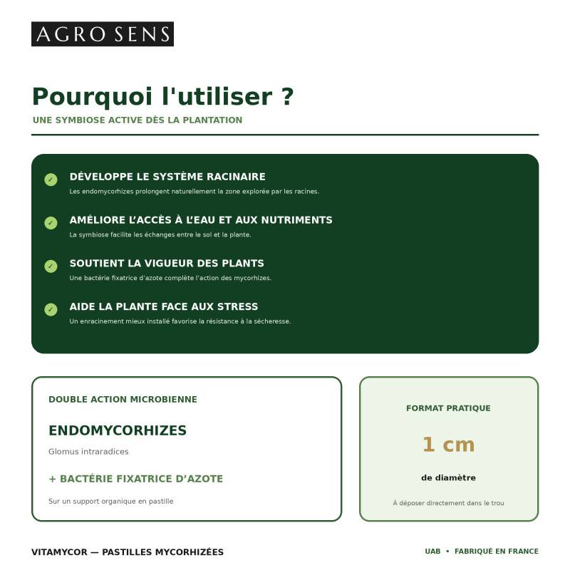 VitaMycor Pastilles - Mycorhizes pour plantations - Agro Sens - Sachet 100 Pastilles - Image 6