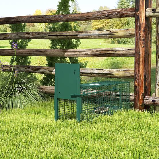 Cage de capture pour animaux vivants avec porte, cage métallique avec poignée pour lapins et petits visons, 60 x 18 x 20 cm, vert foncé - Image 3