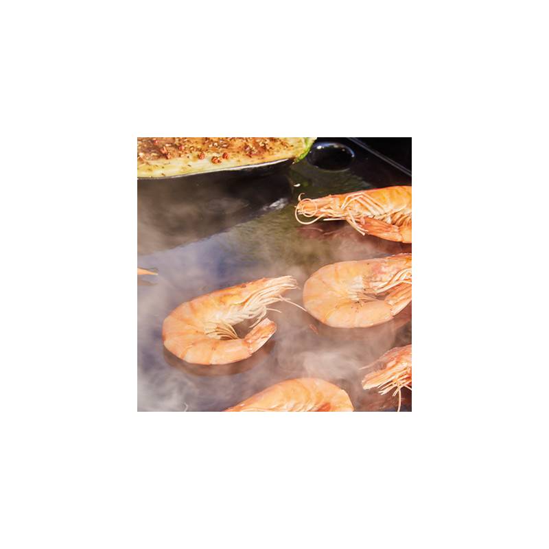 Brasero - Plancha gaz et barbecue charbon Bi‑Energy L – BRASERO BY FAVEX – 2 x 3,6 kW – Plaque inox – 10 à 12 convives - Housse incluse - Image 10