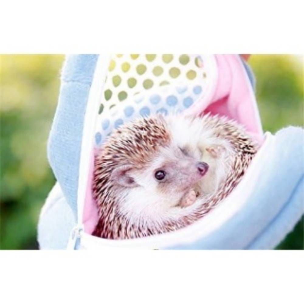 DtopbuyAge - Sac De Transport Pour Hérissons Lapins Rats Hamsters DtopbuyAge - Image 4