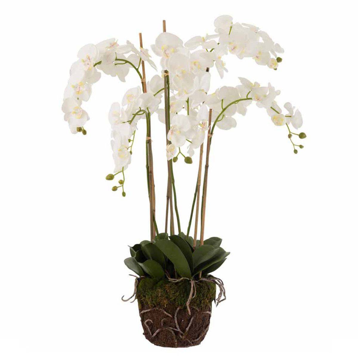 Fleur Artificielle Déco "Orchidée en Terre" 98cm Blanc - Image 1