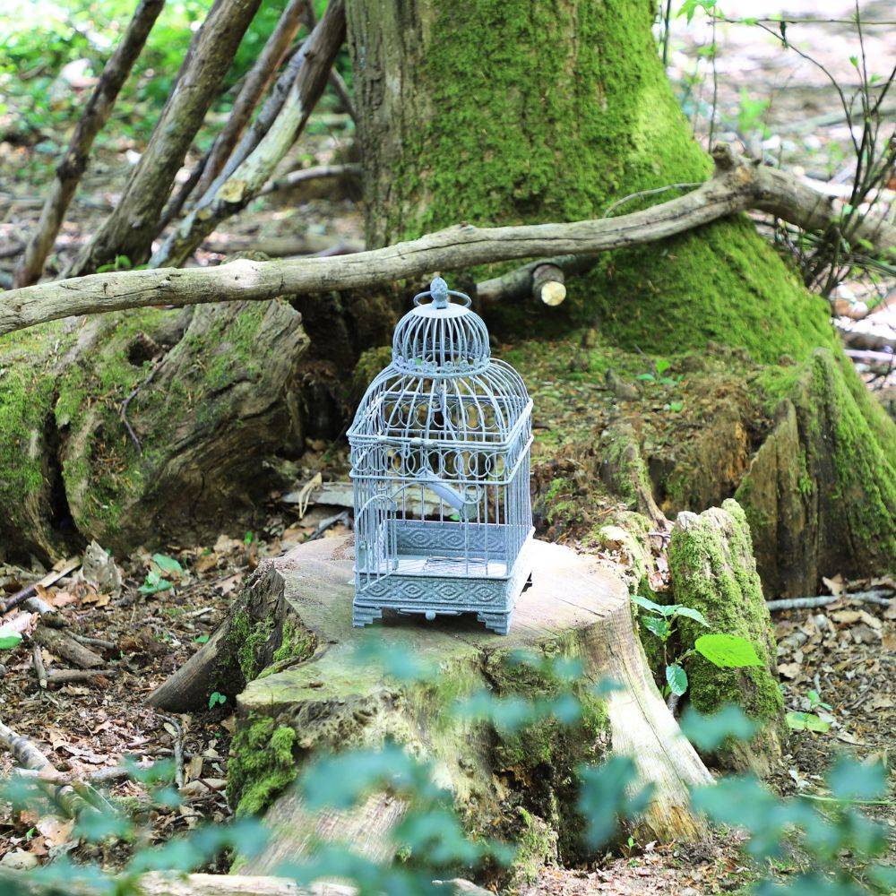Cage à oiseaux bougeoir en métal gris 16.5 x 16.5 x 40 cm Chemin de campagne - Image 4