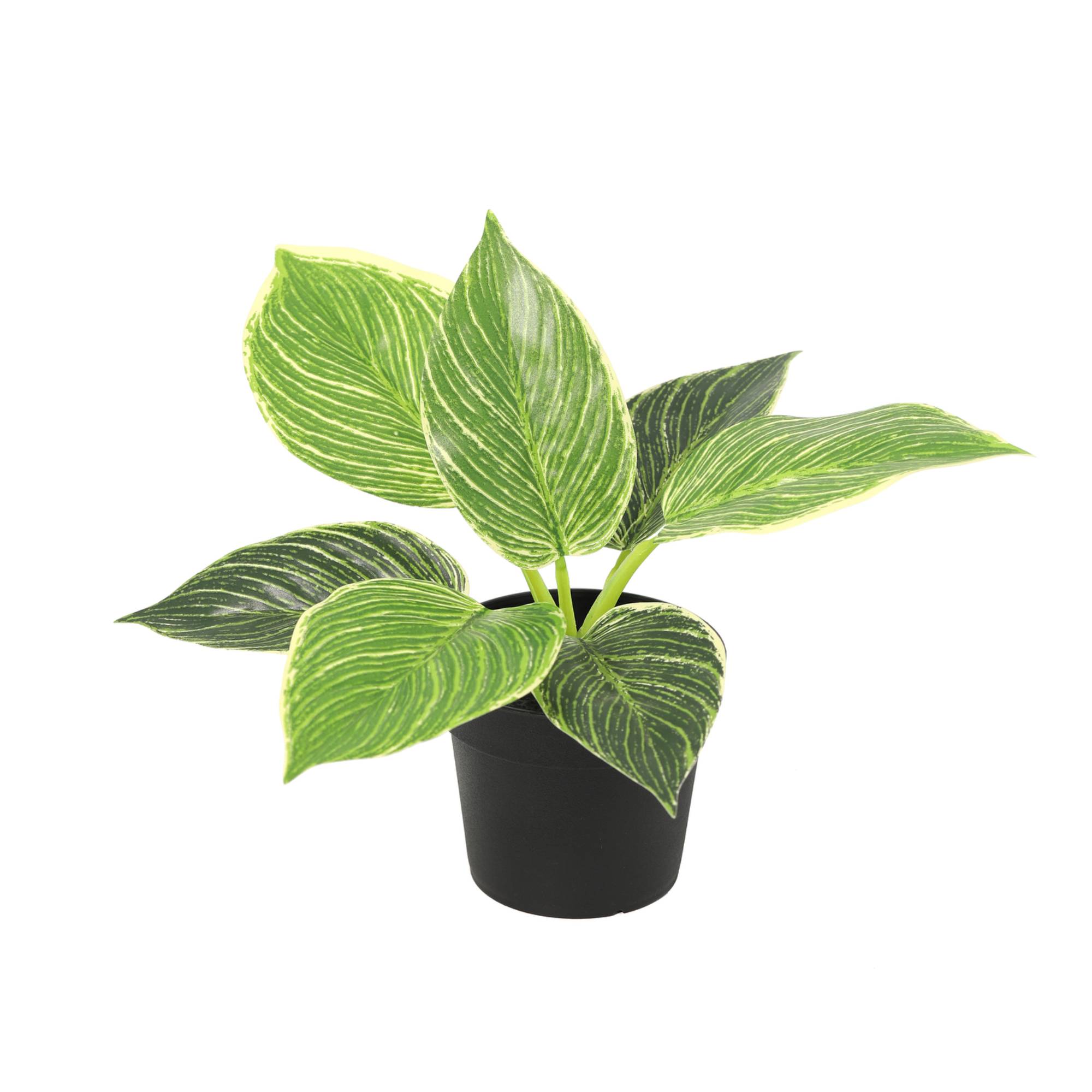 PANGIVO - Philodendron artificiel plastique vert 20 x 20 x 20 cm - PANGIVO