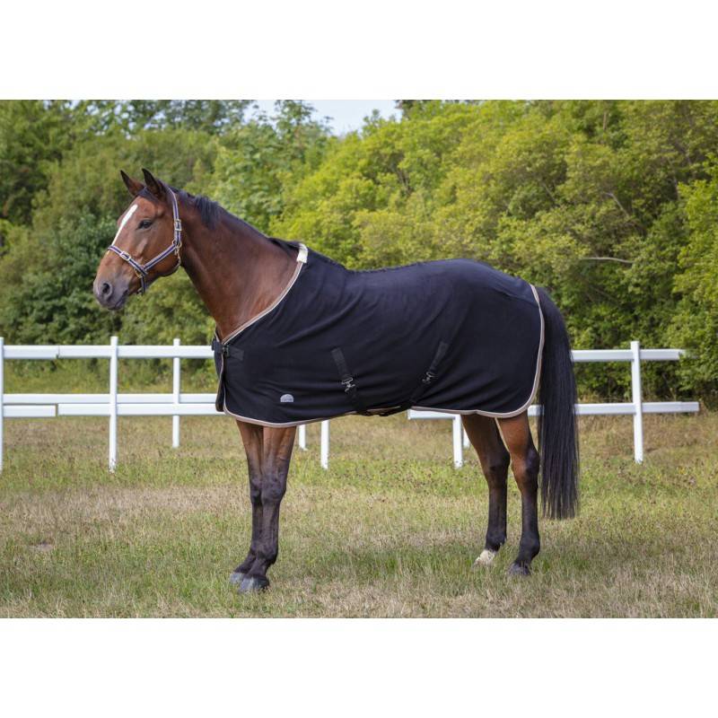 Licol polyfun bleu noir EQUITHEME pour pur-sang