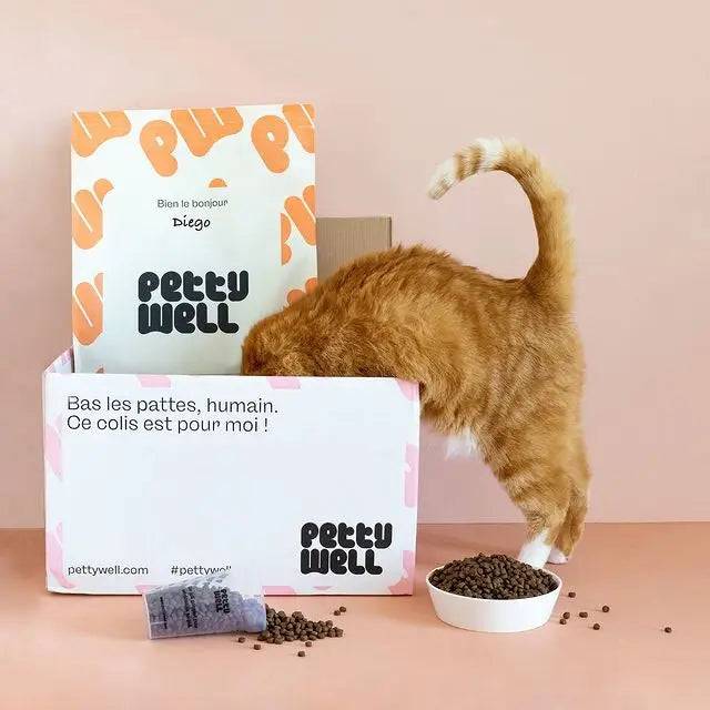 Petty Well - Croquettes Sans Céréales Saumon & Thon pour Chat - Image 2