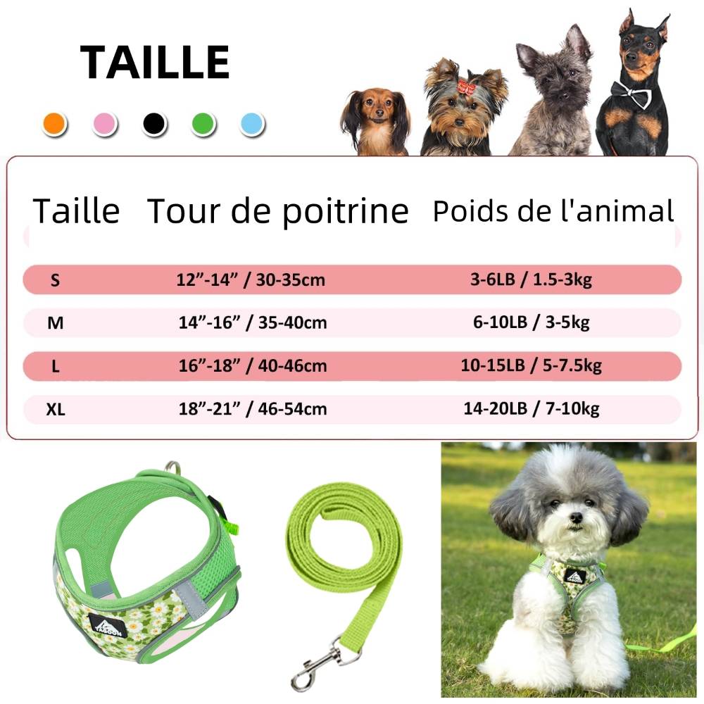Harnais réglable en maille respirante pour chien xl - IntiMeg - Image 3
