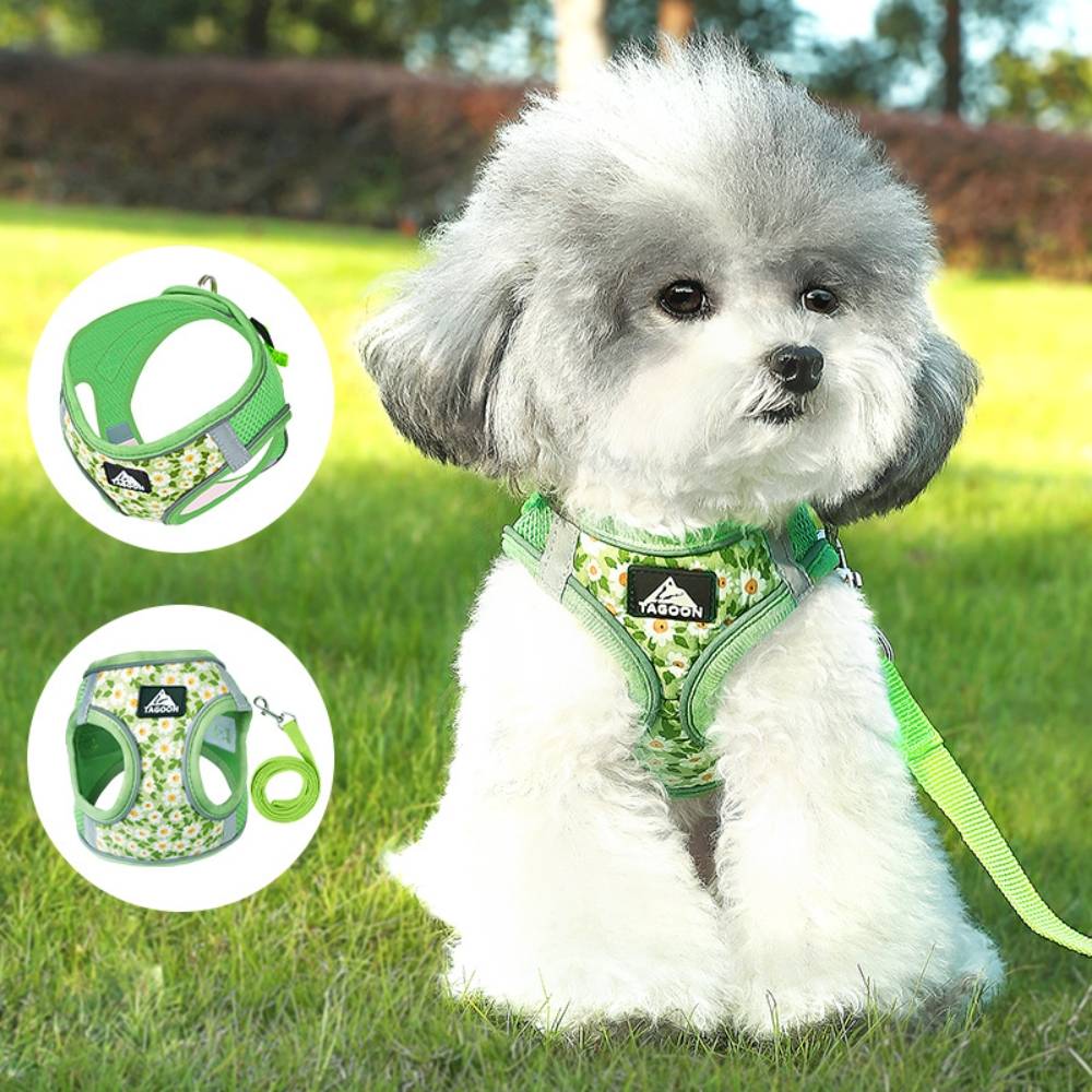 Harnais réglable en maille respirante pour chien xl - IntiMeg - Image 2