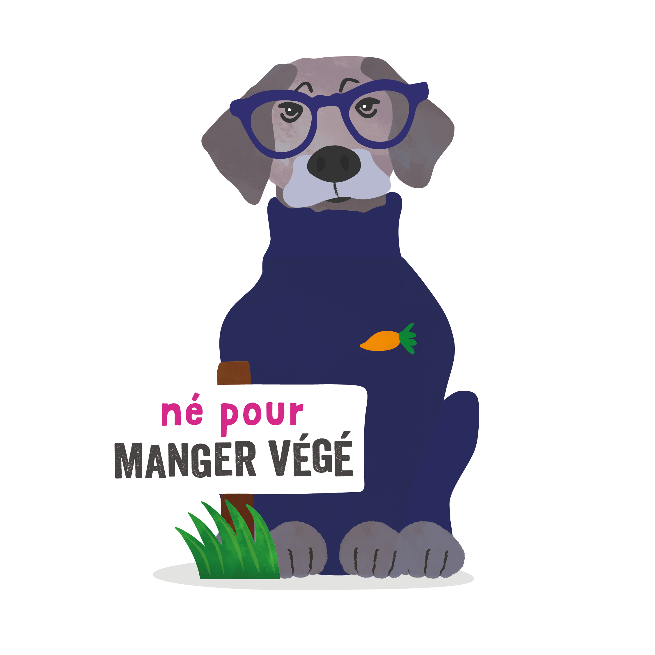 Edgard & Cooper - Edgard Cooper - Croquettes Végétariennes Betterave & Citrouille pour Chien - Image 6