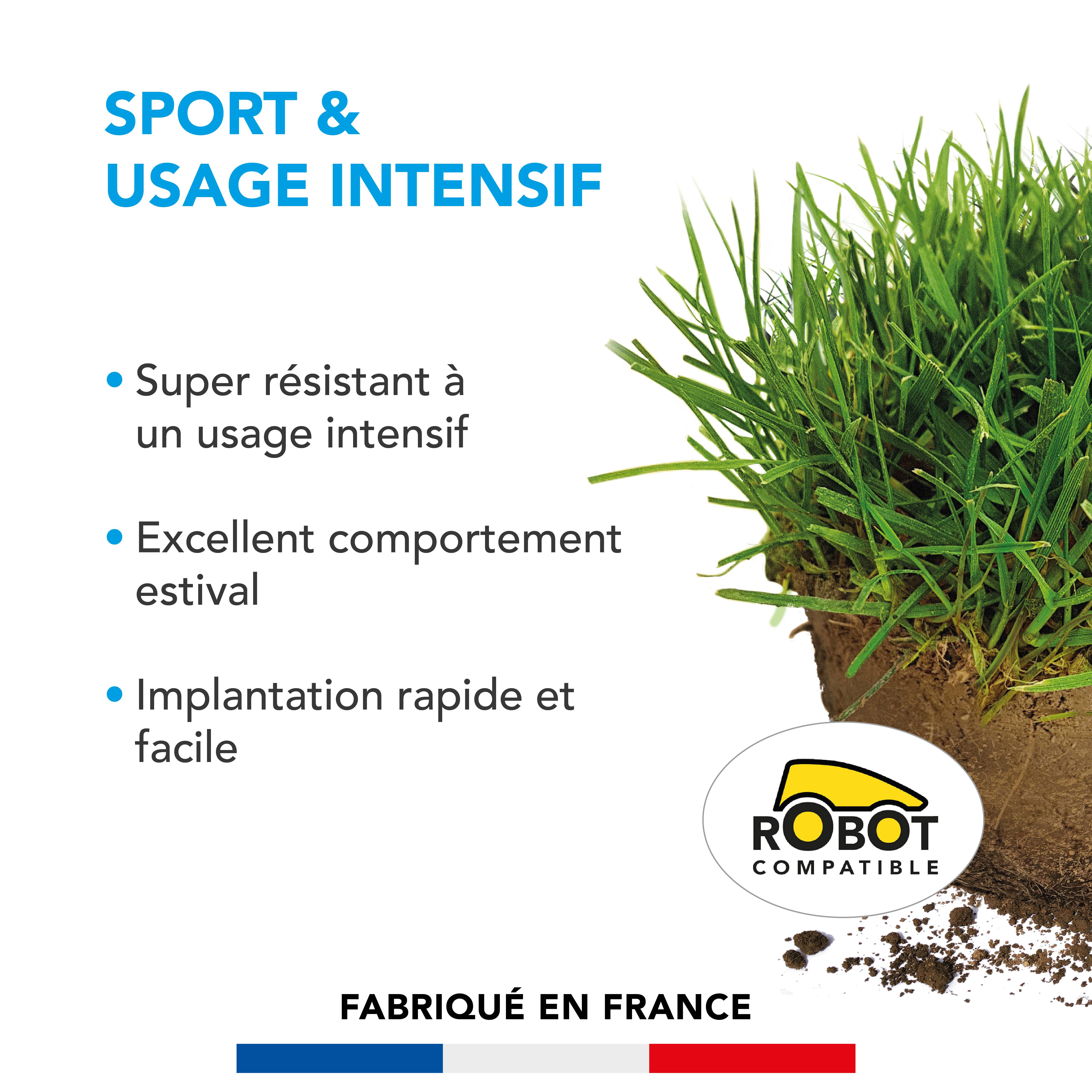 Barenbrug - Gazon Sport & Usage intensif - Super Résistant - Excellent Comportement Estival - Implantation Rapide et Facile - 5KG - BARENBRUG - Image 2