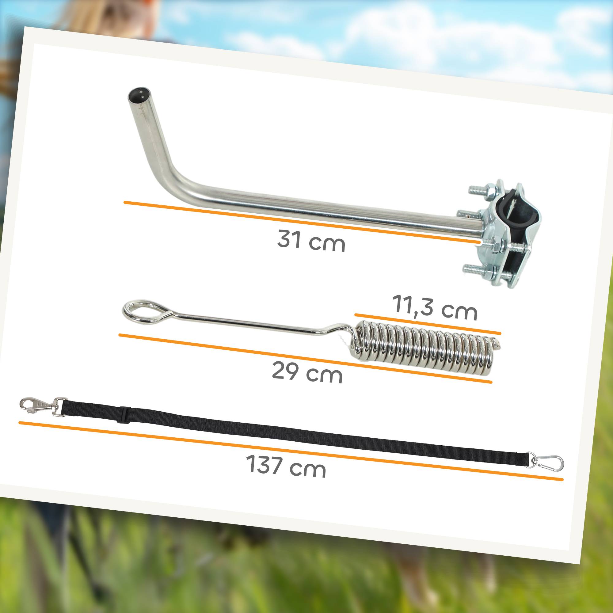 Sans Marque - Laisse vélo chien 180 cm inox fixation rapide ressort amortisseur sangle ajustable argent - Image 5