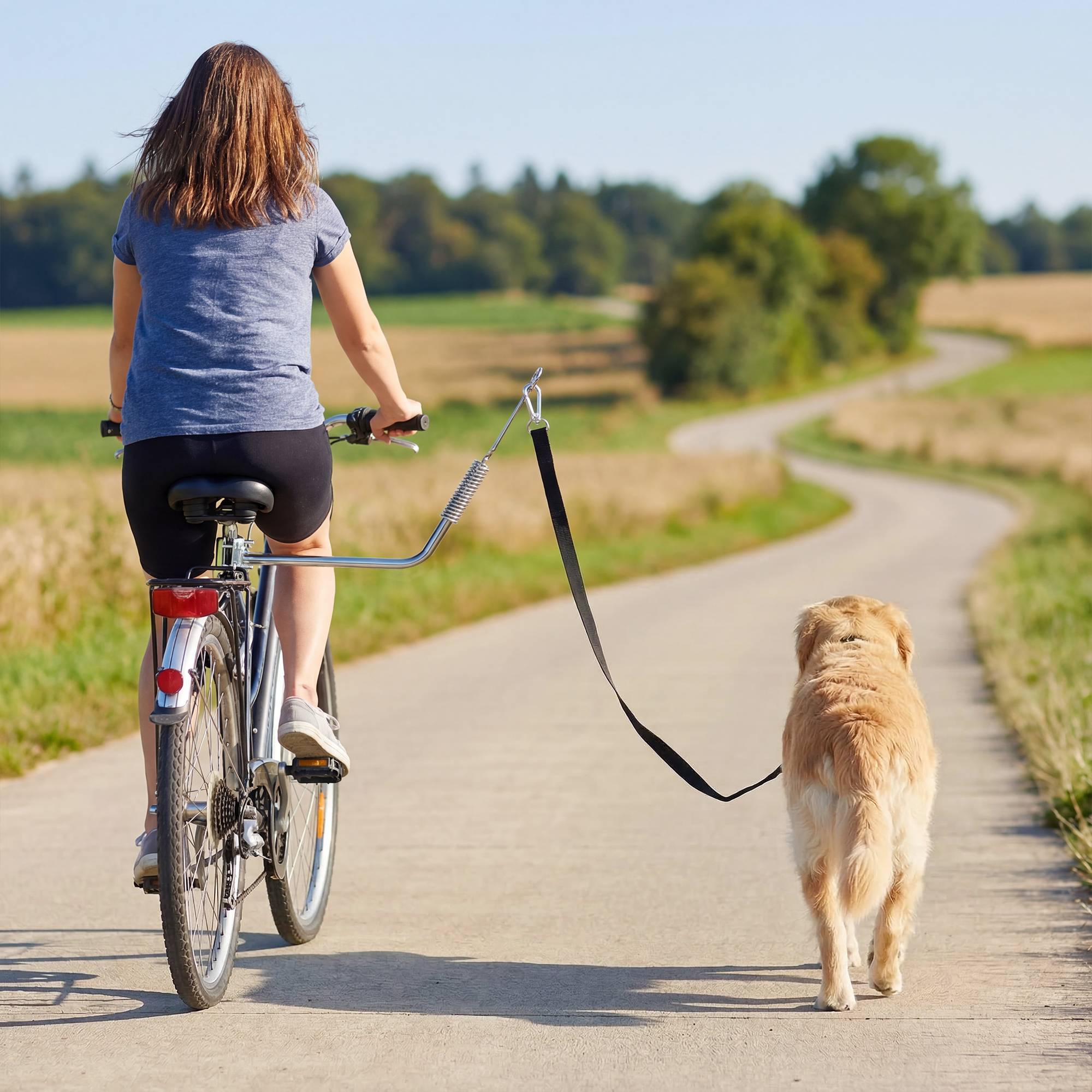 Sans Marque - Laisse vélo chien 180 cm inox fixation rapide ressort amortisseur sangle ajustable argent - Image 4