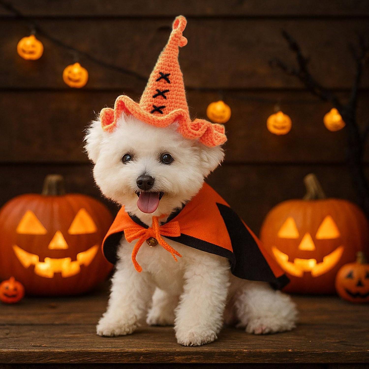 DtopbuyAge - Bonnet Halloween pour Chien et Chat DtopbuyAge - Image 2