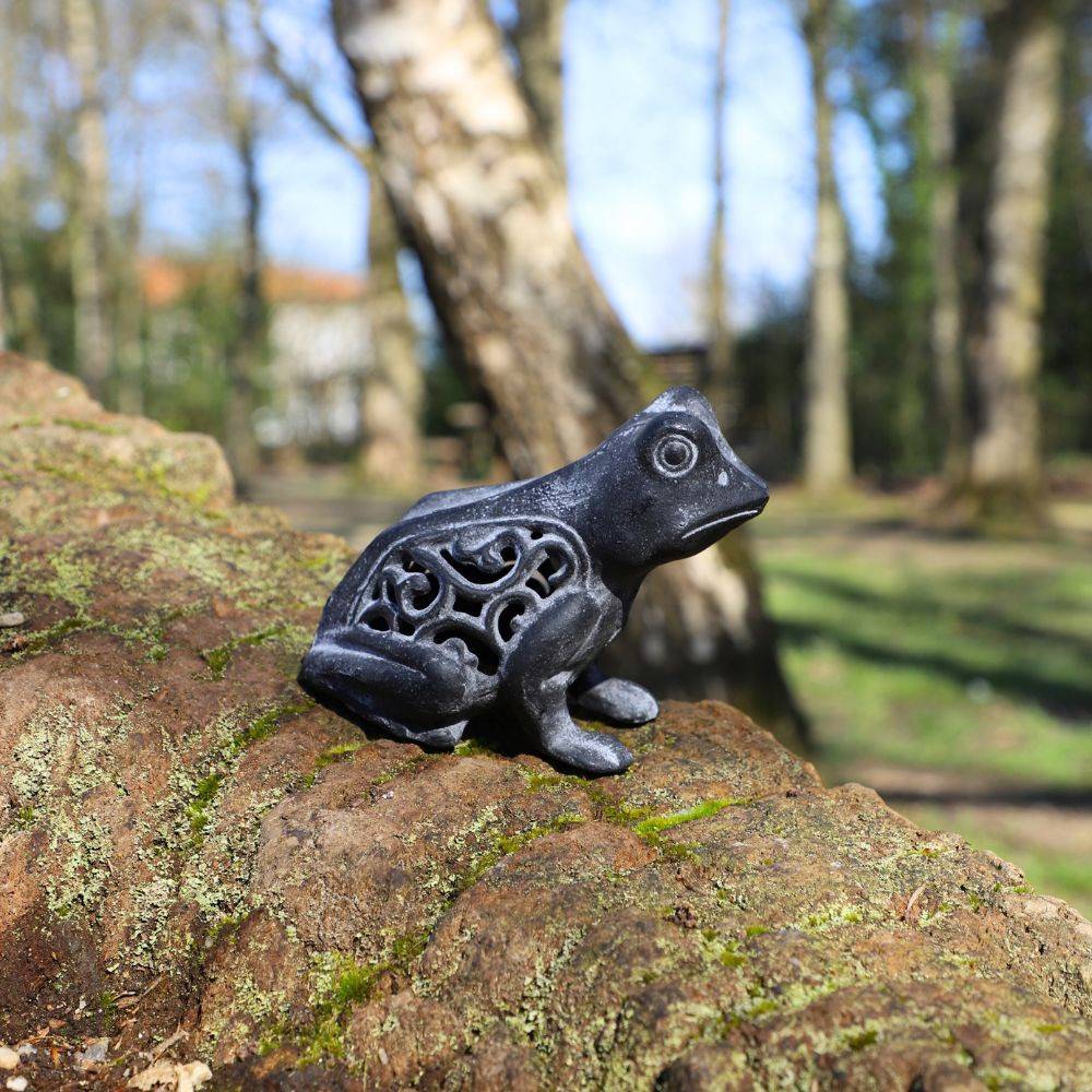 Grenouille en fonte noire 13 x 11 cm Chemin de campagne - Image 3