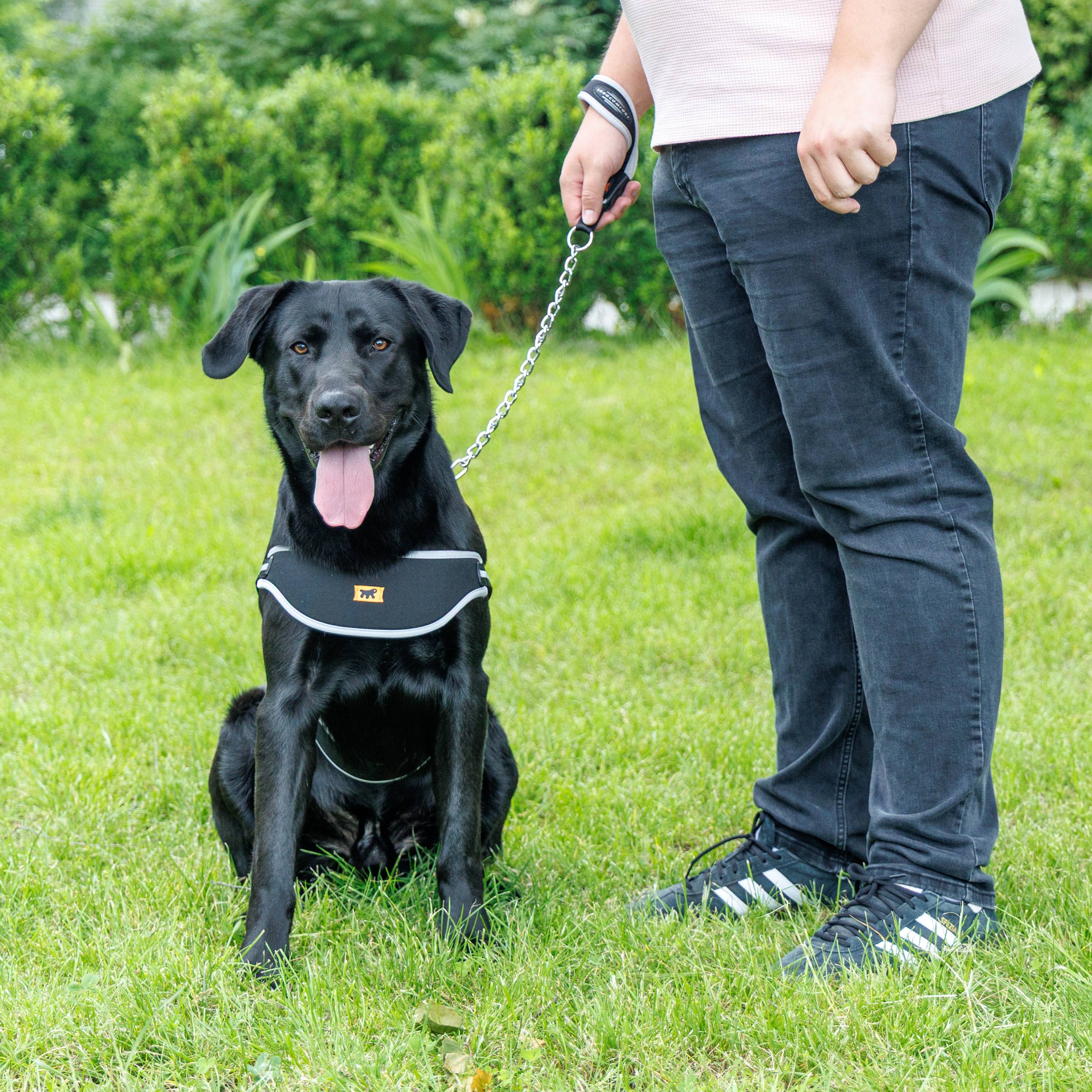 Ferplast - Ferplast Harnais Chien grande taille ERGOCOMFORT NORDIC, Harnais pour chien rembourré, Réfléchissant, Facile à porter et à régler, Dégagement rapide, - Image 3