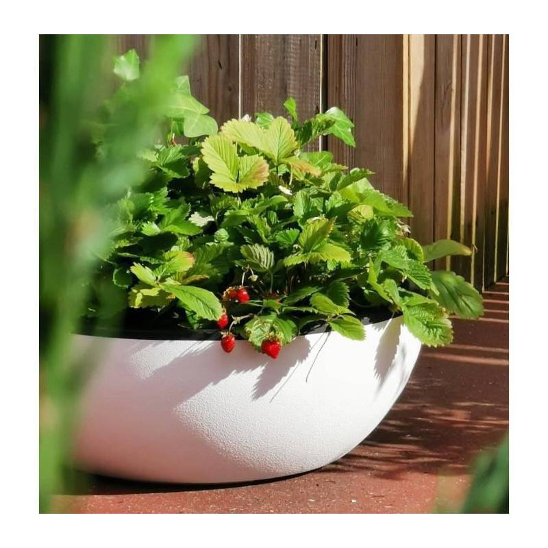 Riviera - Riviera - Coupe Pot De Fleurs - Granit D40 - Blanc - Image 2