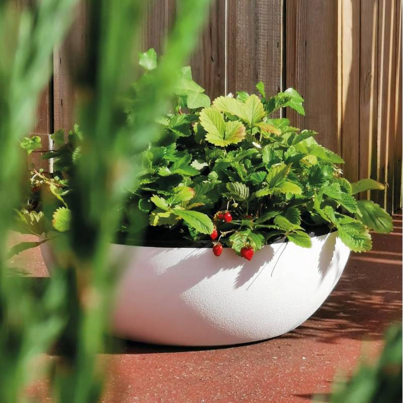 Riviera - Riviera - Coupe Pot De Fleurs - Granit D40 - Blanc - Image 3