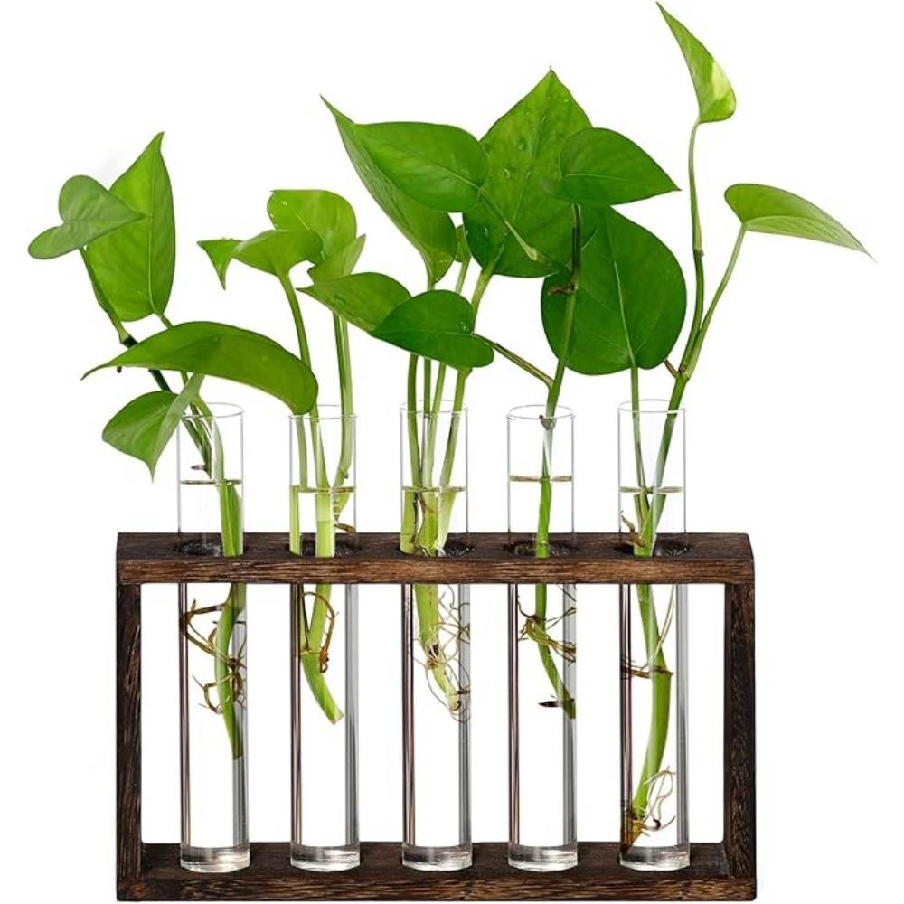 Récipient en Verre pour Plantes Mural 5 Tubes - Image 2