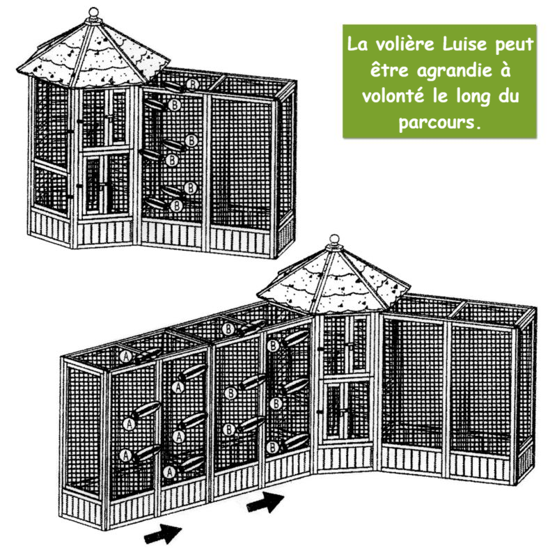 Volière Cage à oiseaux en bois de haute qualité Maison principale et Extension  Modèle Luise 309et 310 - Image 6