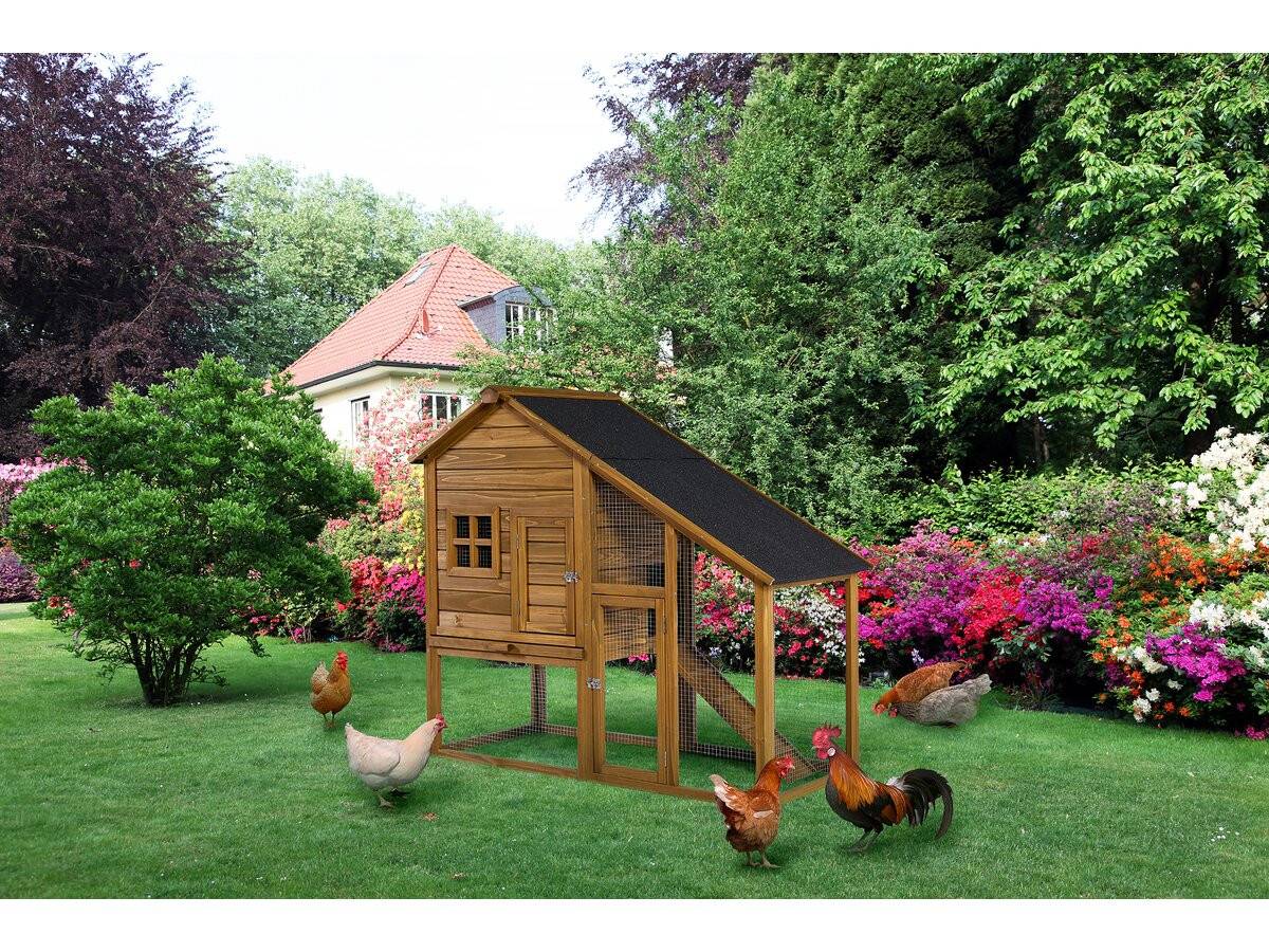 Poulailler "lily" Avec Pondoir En Bois - Marron -habitat Et Jardin - Image 2